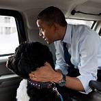 bo obama the white house stop dog welcome sunny slide show4