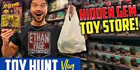 Toy Hunt Vlog • Hidden Gem Toy Store in West Virginia