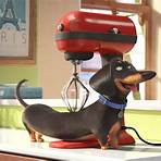 Is the Secret Life of Pets available in theaters?3