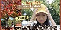 [Cancer Update- 1029 Day ] 2023 9-11月 - 情況4年來最差|以為好轉|美國治療|癌細胞繼續擴散
