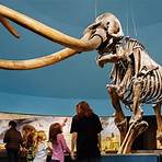 la brea tar pits and museum admission ticket3