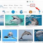 How to find copyright free images from Google?3