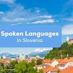 german language in slovenia4