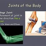 skeleton - movement and location ppt powerpoint3