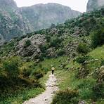 sightseeing in kotor montenegro map1