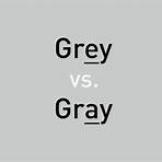 gray area vs grey area1