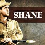 Shane3