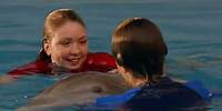Clip from A Dolphin's Tale 2 (2014)
