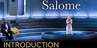 Introduction to SALOME Strauss – Irish National Opera