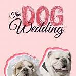 The Dog Wedding Film2