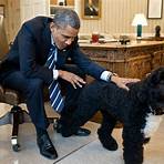 bo obama the white house stop dog welcome sunny slide show3