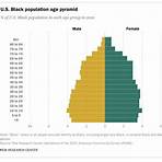 What percentage of the US population are African Americans?4