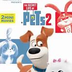 Is the Secret Life of Pets 2 out on DVD?2