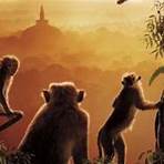 Monkey Kingdom película1
