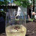 Reif Estate Winery4