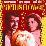 Cactus Flower filme4