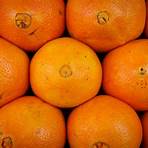 Orange (fruit) wikipedia2