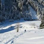 alpbach bergbahnen öffnungszeiten3