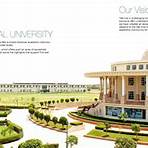 Noida International University2
