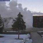 where did malle malle live webcam yellowstone1