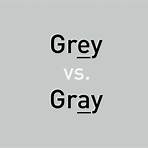 gray area vs grey area5