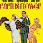 Cactus Flower filme2