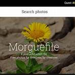 how to find copyright free images from google drive4