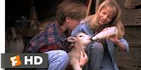 Lassie (5/9) Movie CLIP - Building a Farm (1994) HD