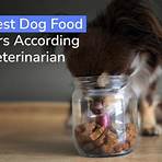 Are dog food toppers good for dogs?1