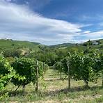 giuseppe rinaldi winery3