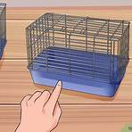 What is a good cage?3