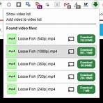 What is the best video downloader for Chrome?2