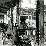 How significant was the Reichstag fire for Germany?2
