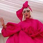 was lady gaga meat dress real4