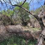 san marcos texas land for sale2