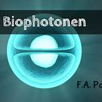 popp biophotonen1