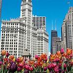 magnificent mile in chicago shopping2