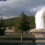 where did malle malle live webcam yellowstone3