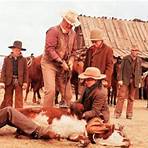 Die Cowboys Film1