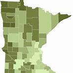 mn lead in voter turnout but lag most state in early voting5