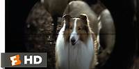 Lassie (8/9) Movie CLIP - They Are Not Your Sheep (1994) HD