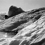 S.O.S. Iceberg Film2