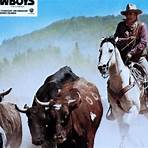 Die Cowboys4