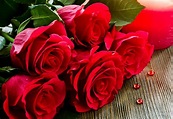 Red Roses - HDWPlan