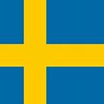 what is swedish in english dictionary1