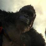 Godzilla vs. Kong Film4
