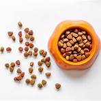 what are some gmo foods for dogs allergies3