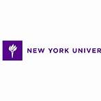 universidad de nueva york programas4