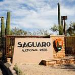 Saguaro National Park3