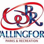 city of ann arbor mi parks and rec dept wallingford ct1
